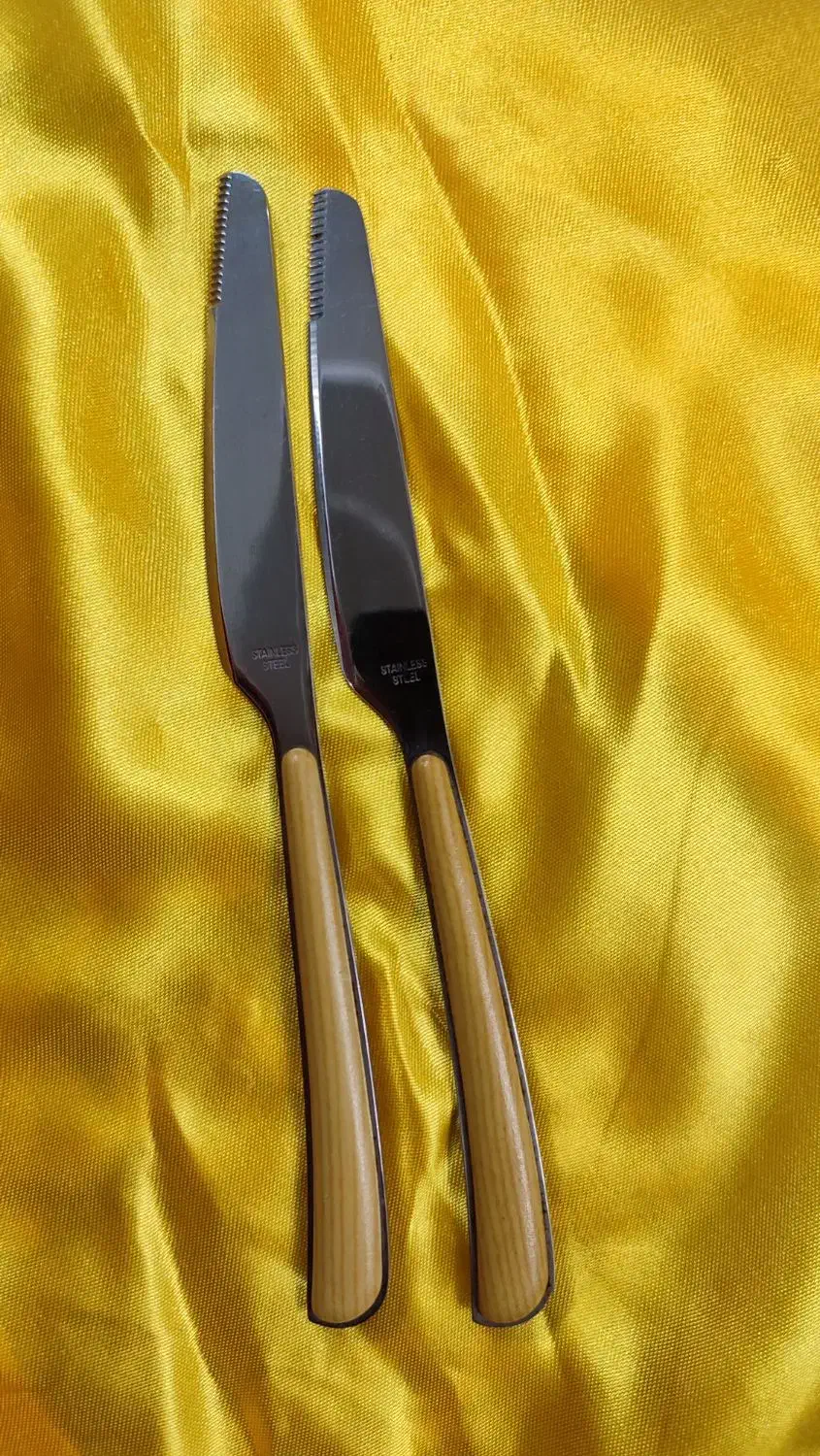 چاقو تمام استیل|ظروف سرو و پذیرایی|قم, کلهری|دیوار