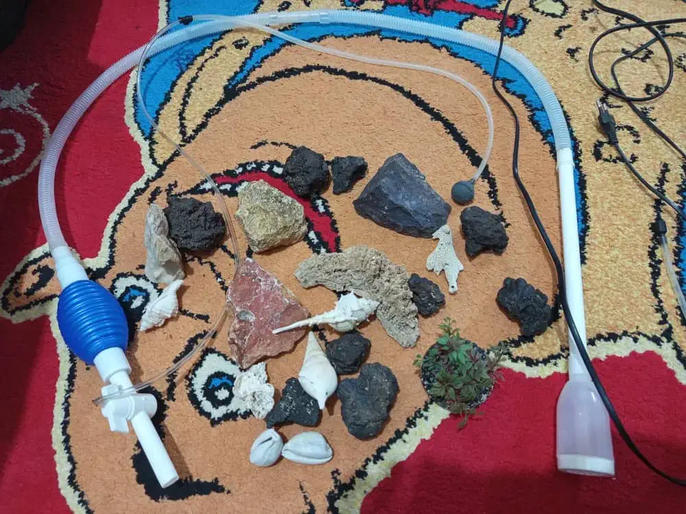 وسایل آکواریوم به فر وش میرسد|ماهی|شاهین‌شهر, شهرک گلدیس|دیوار