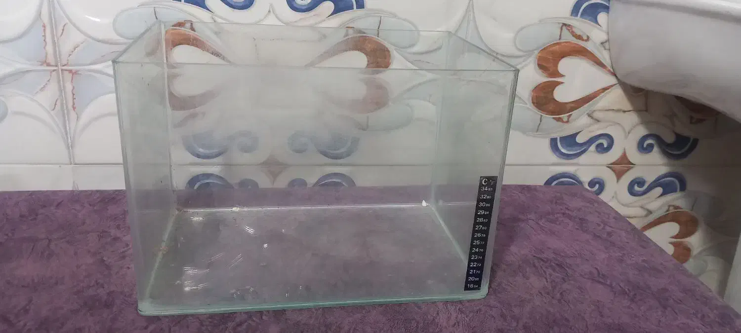 اکواریوم|ماهی|تربتحیدریه, فرمانداری|دیوار