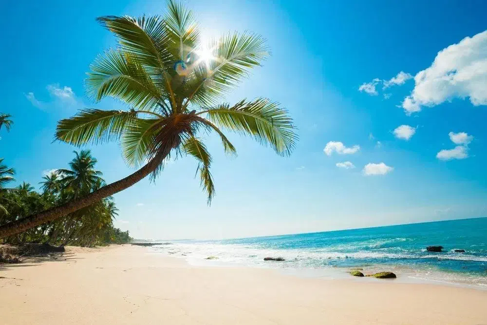 تورریلی قشم|تور و چارتر|ملک‌آباد, |دیوار