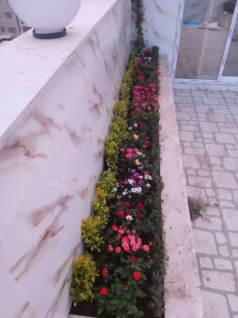 امور خدمات باغبانی گل کاری درخت کاری هرس کاری|خدمات باغبانی و درختکاری|اسلام‌شهر, شهرک قائمیه|دیوار