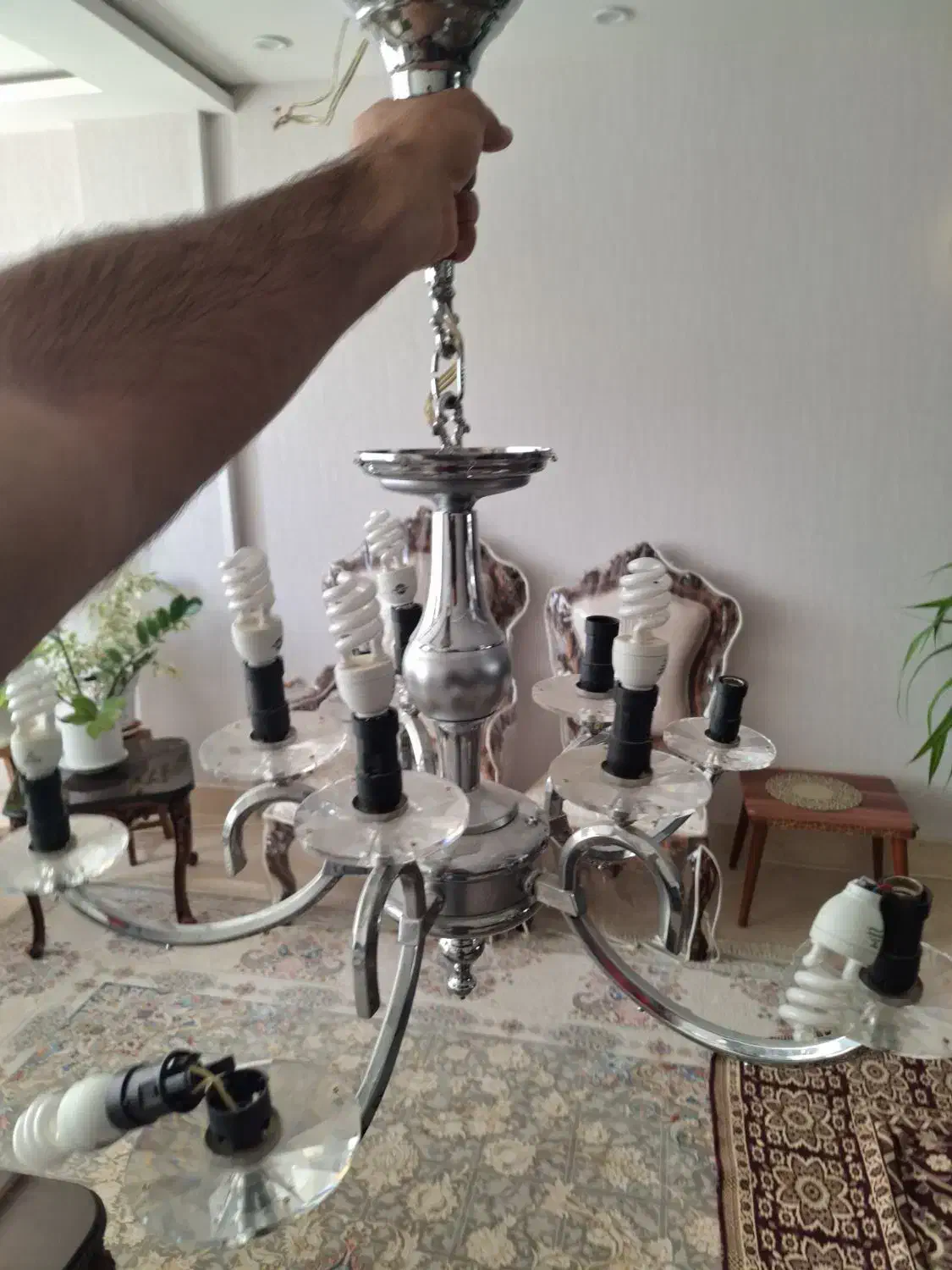 لوستر سالن|لوستر و چراغ آویز|شیراز, ارم|دیوار