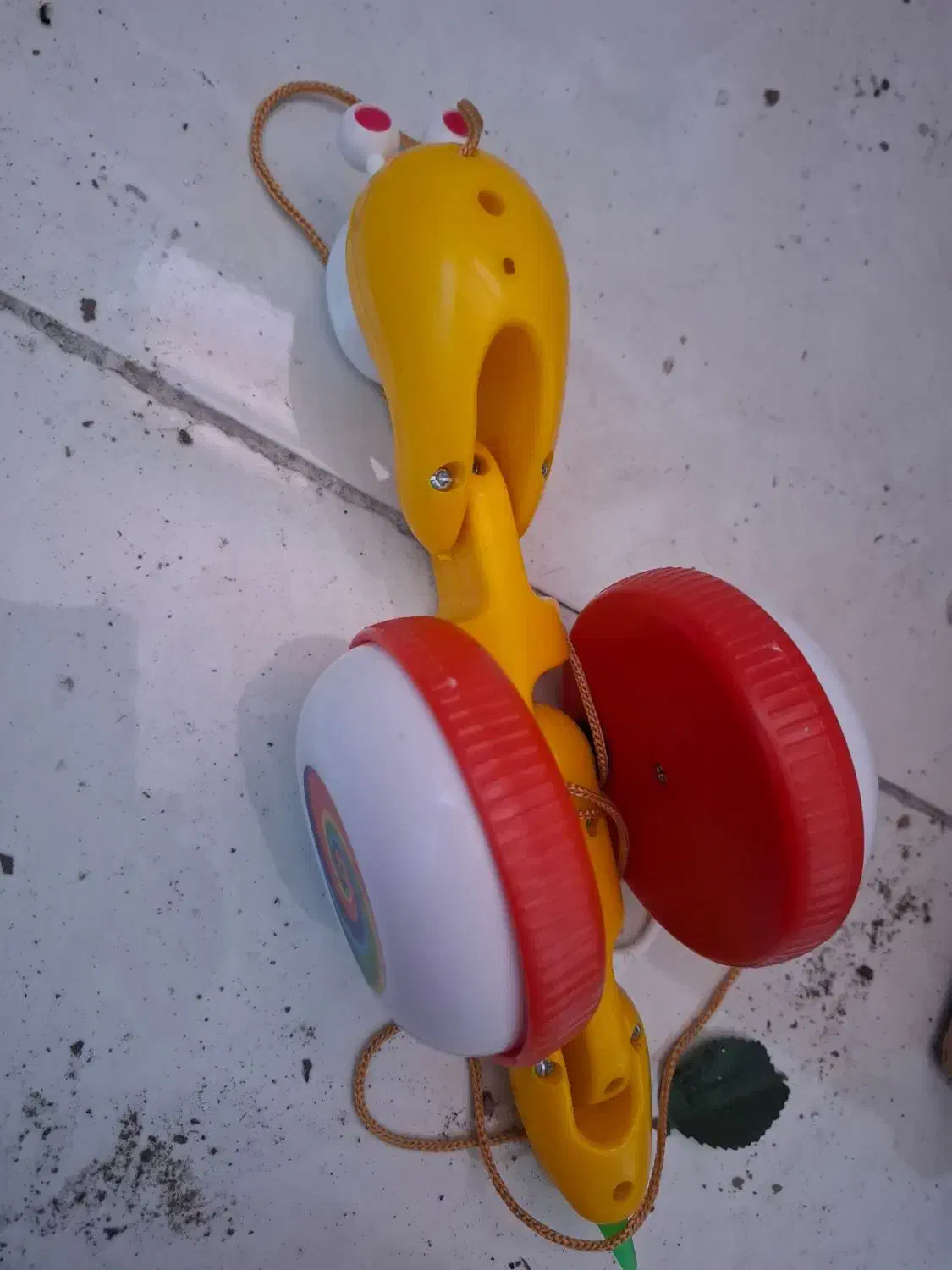 بازی|اسباببازی|رشت, نیروی دریایی|دیوار