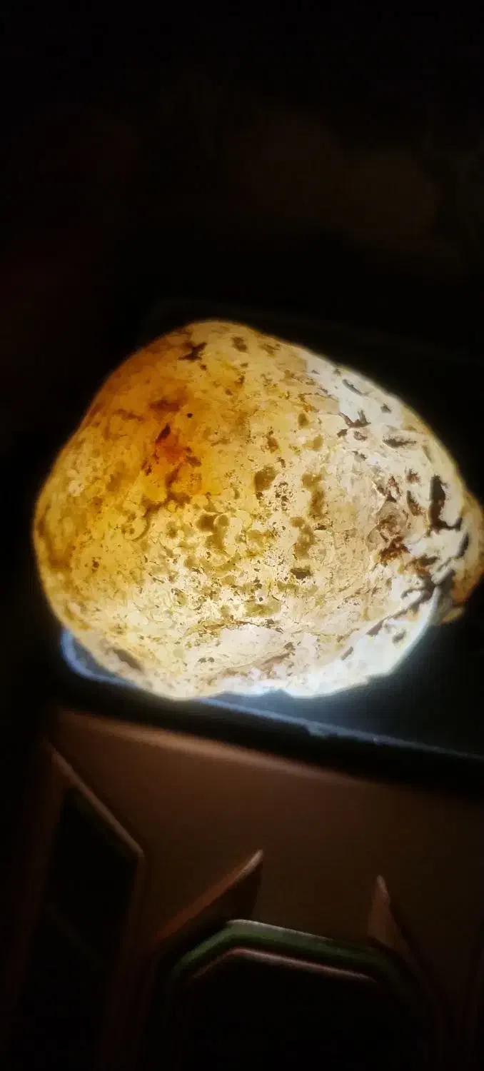 سنگ قیمتی|کلکسیون اشیاء عتیقه|مرودشت, ولایت|دیوار