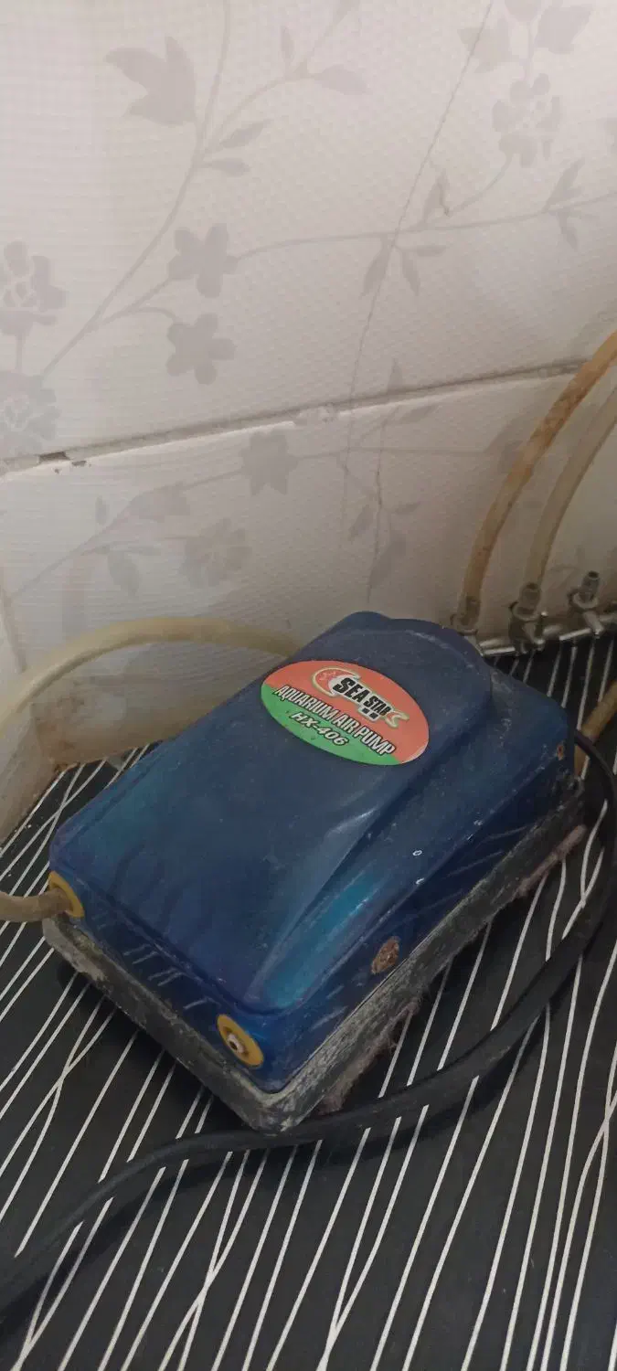 آکواریوم شیشه خم بالوازم|ماهی|نسیم‌شهر, |دیوار