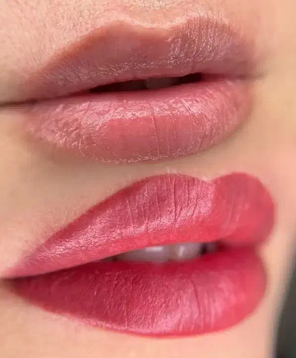 خدمات تخصصی شیدلب بامتدجدید تجربه کنید|خدمات آرایشگری و زیبایی|مشهد, کوشش|دیوار