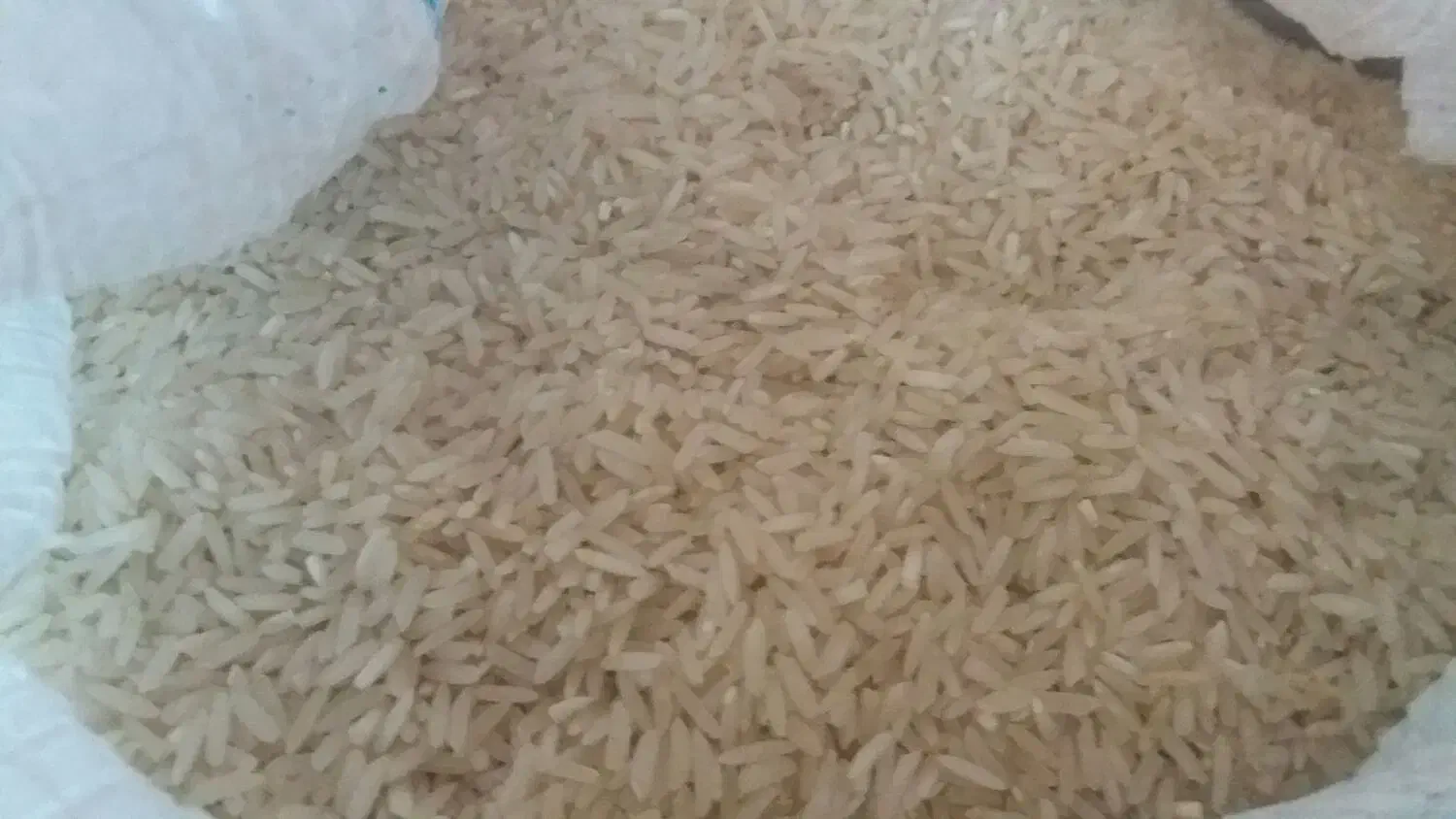 برنج ایرانی|خوردنی و آشامیدنی|درب گنبد, |دیوار