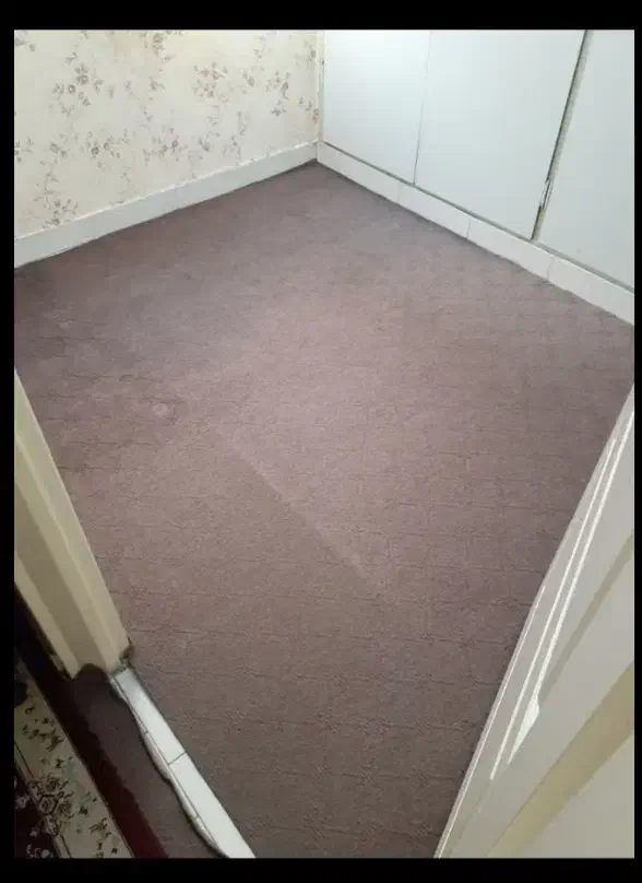 موکت فیلی رنگ|موکت|تهران, مشیریه|دیوار