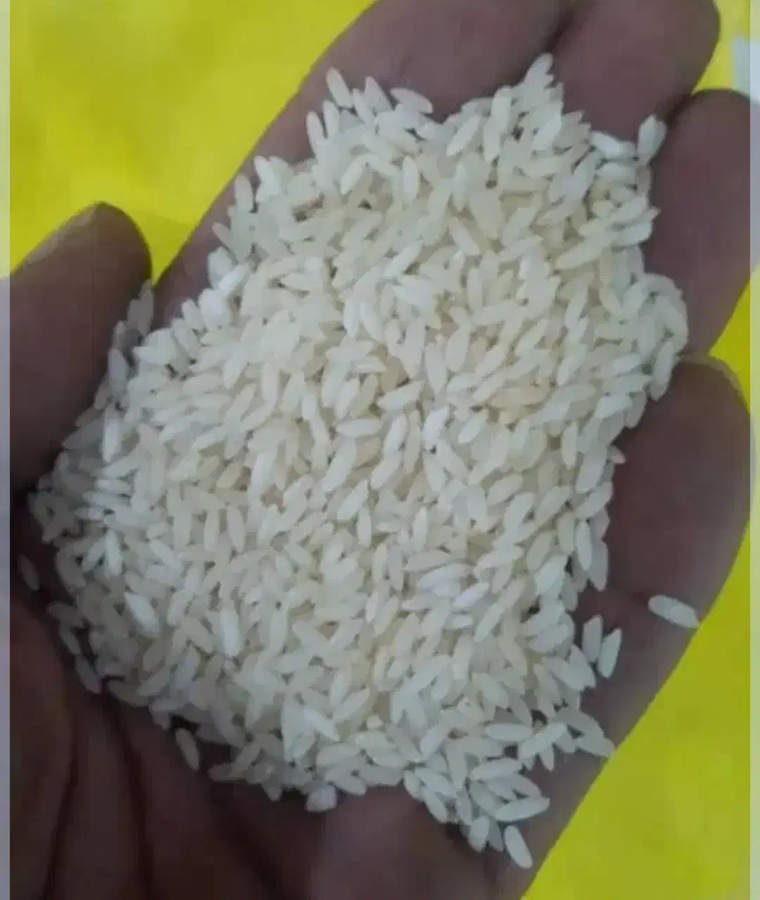 برنج عنبربو درجه 1 تعاونی|خوردنی و آشامیدنی|شوش, |دیوار