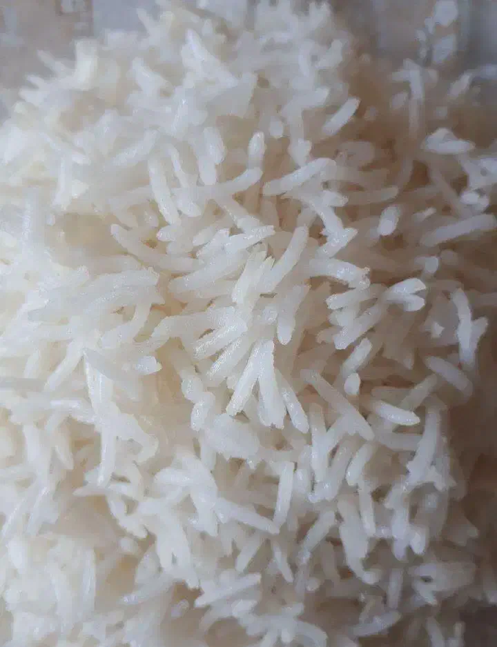 همکاری در فروش برنج درجه یک هاشمی شمال|خوردنی و آشامیدنی|تهران, آبشار|دیوار