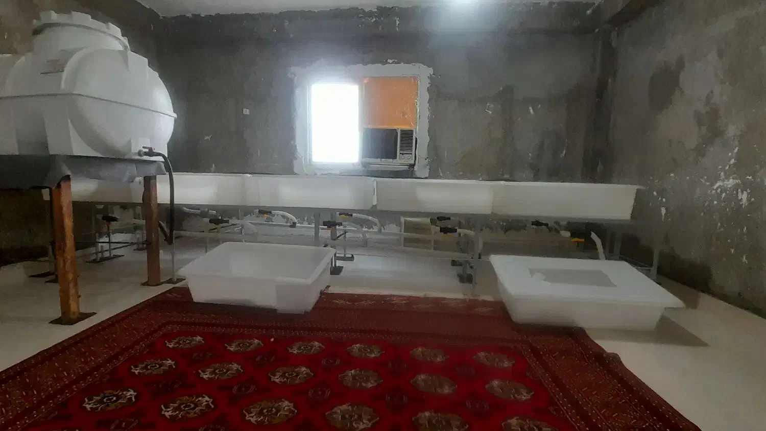 وسایل پرورش زالو|لوازم سرویس بهداشتی|کردکوی, |دیوار