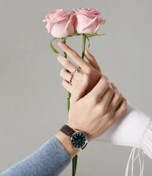 همکاری دانشجویان|فعالیت داوطلبانه تحقیقاتی|سلماس, |دیوار