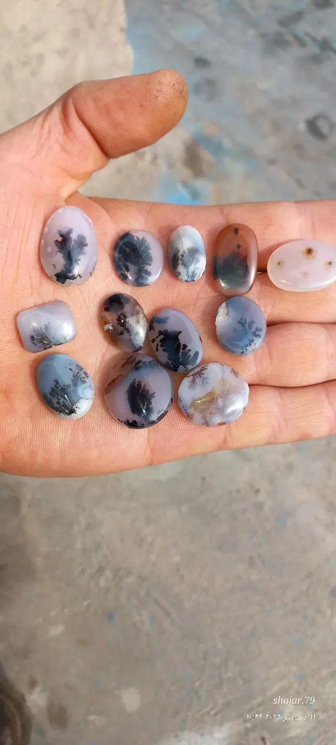 نگین شجر و انگشتر باباقوری|جواهرات|اقبالیه, |دیوار