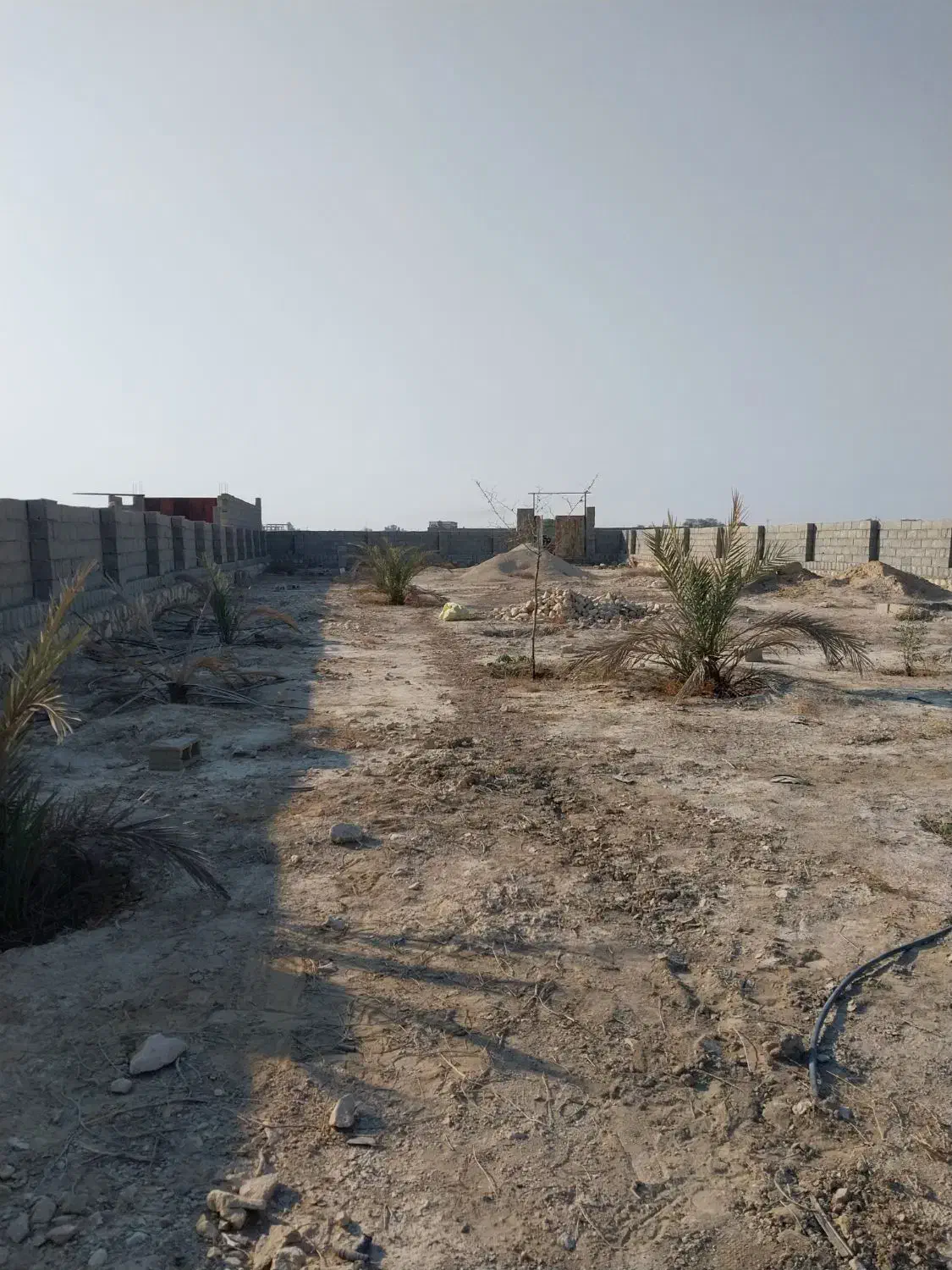 فروش زمین گورک خورشیدی|فروش زمین و ملک کلنگی|چغادک, |دیوار