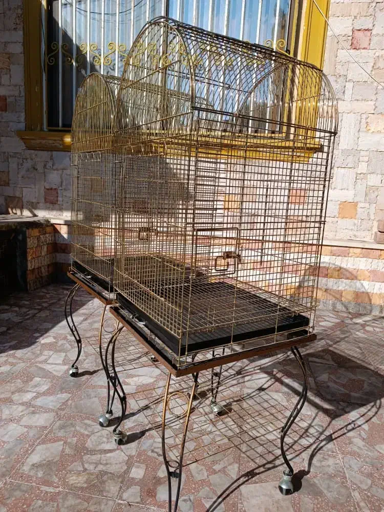 قفس حرفه ای|لوازم جانبی حیوانات|عباس‌آباد, |دیوار