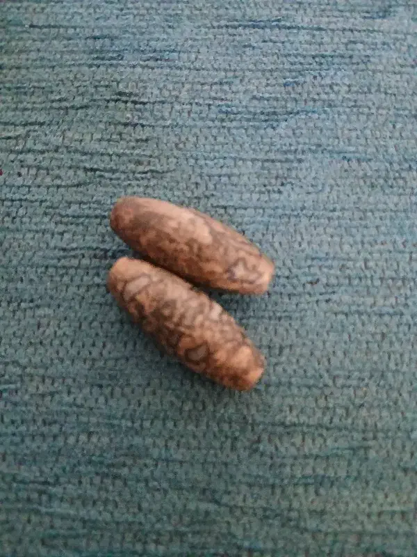 سنگ|کلکسیون اشیاء عتیقه|اهواز, کمپلو جنوبی|دیوار