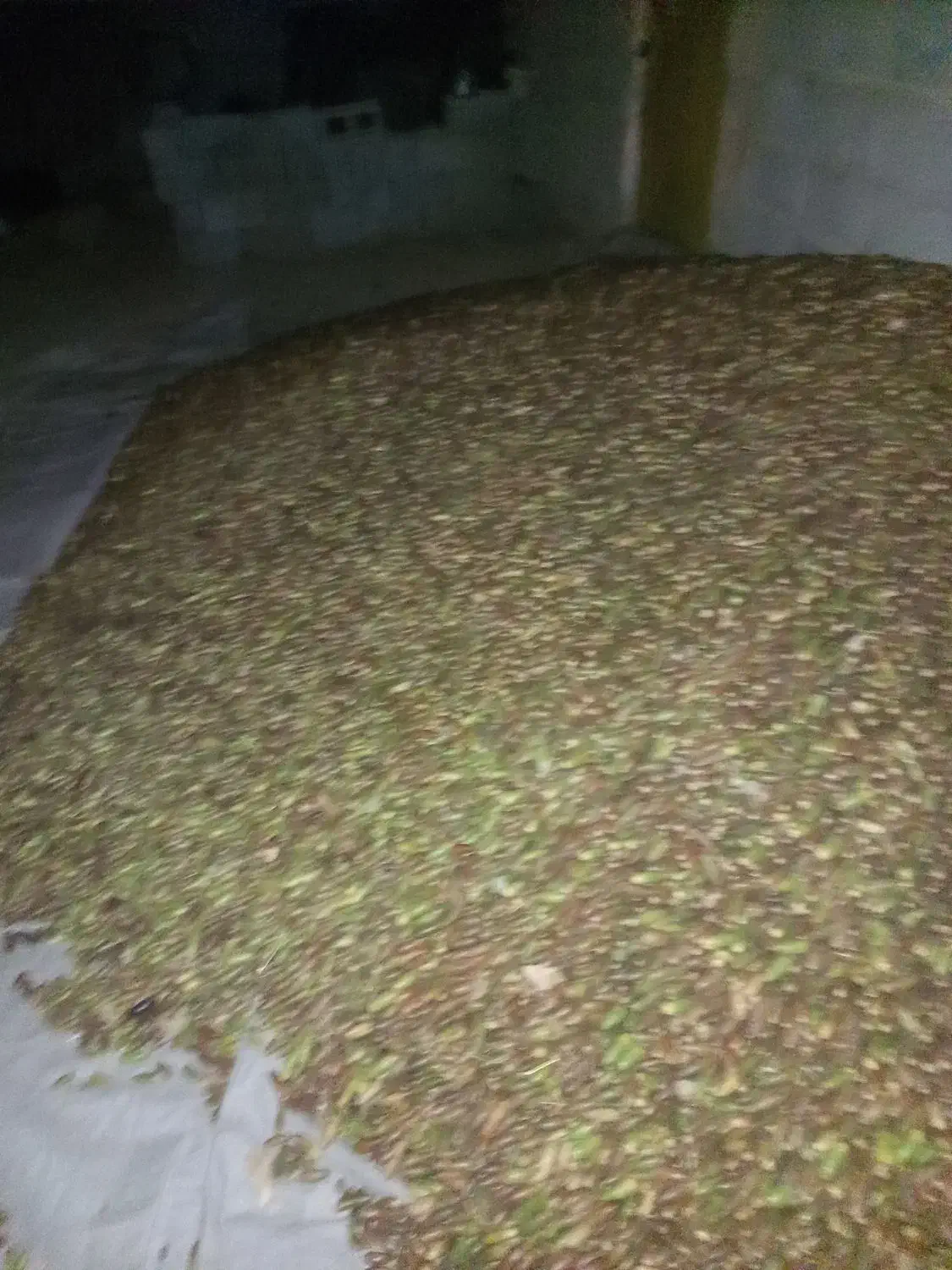 بلوط|عمده‌فروشی|کنار تخته و کمار, |دیوار