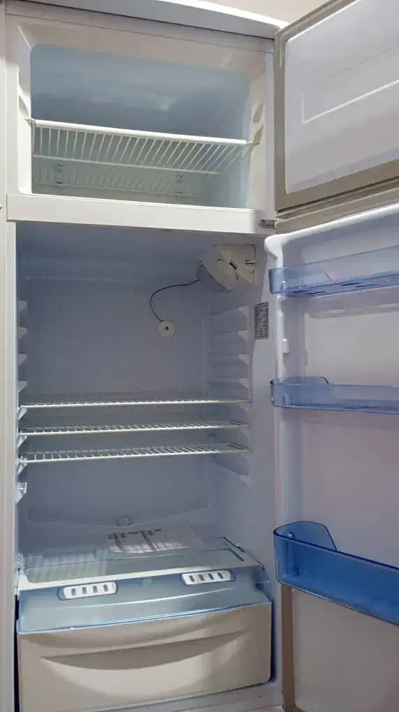 یخچال فلیور نو|یخچال و فریزر|هامون, |دیوار