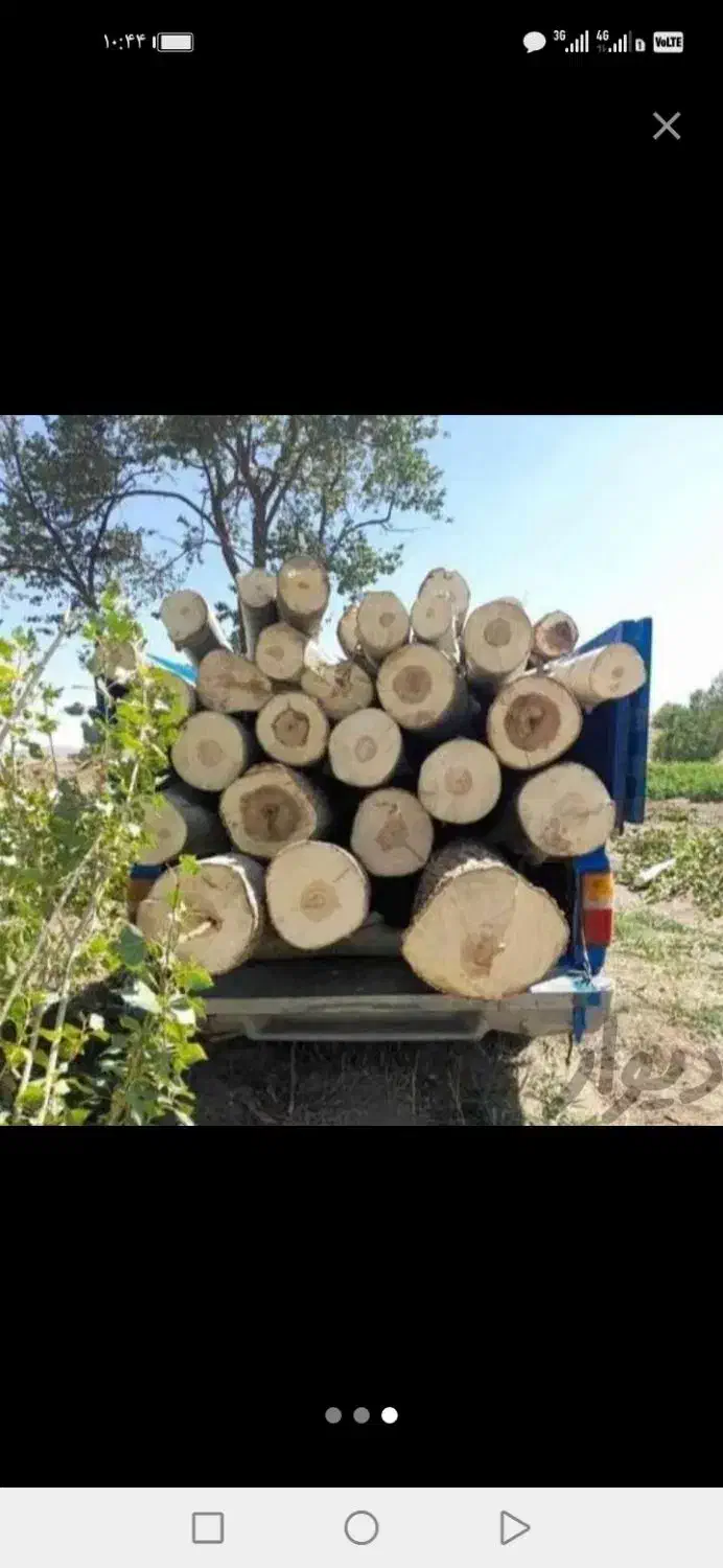 هرس کردن درختان وخرید درختان شما بابالاترین قیمت|خدمات باغبانی و درختکاری|خرمآباد, |دیوار