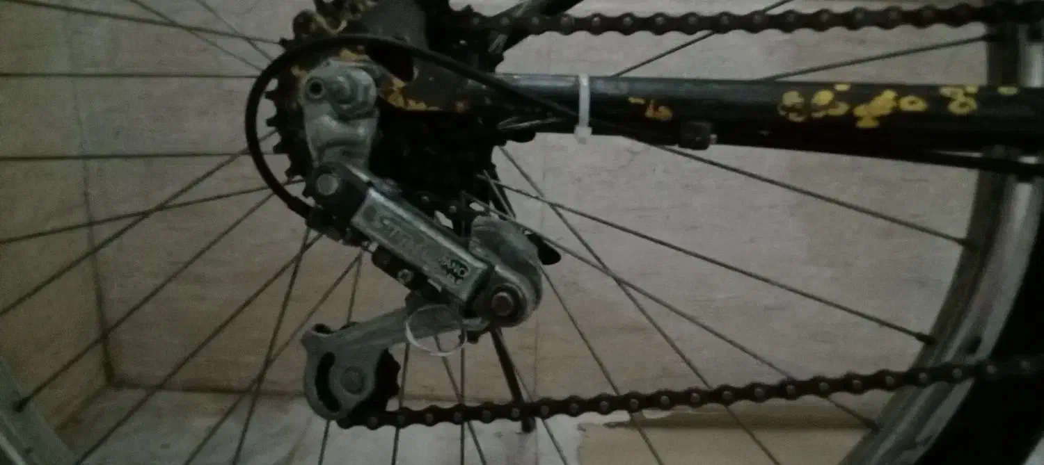 دچرخه|دوچرخه، اسکیت، اسکوتر|قم, باغ شریفی|دیوار