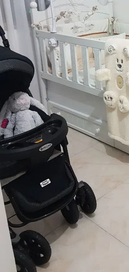 کریر و کالسکه دلیجان|کالسکه و لوازم جانبی|رباط‌کریم, رباط‌کریم|دیوار