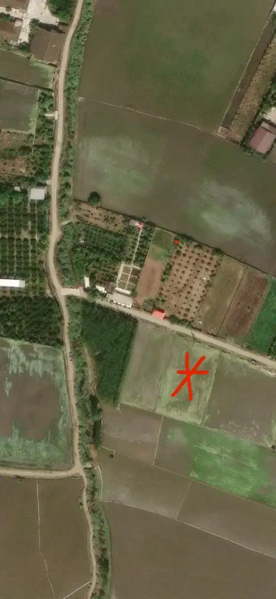 زمین کشاورزی|فروش دفتر صنعتی، کشاورزی، تجاری|بابل, |دیوار