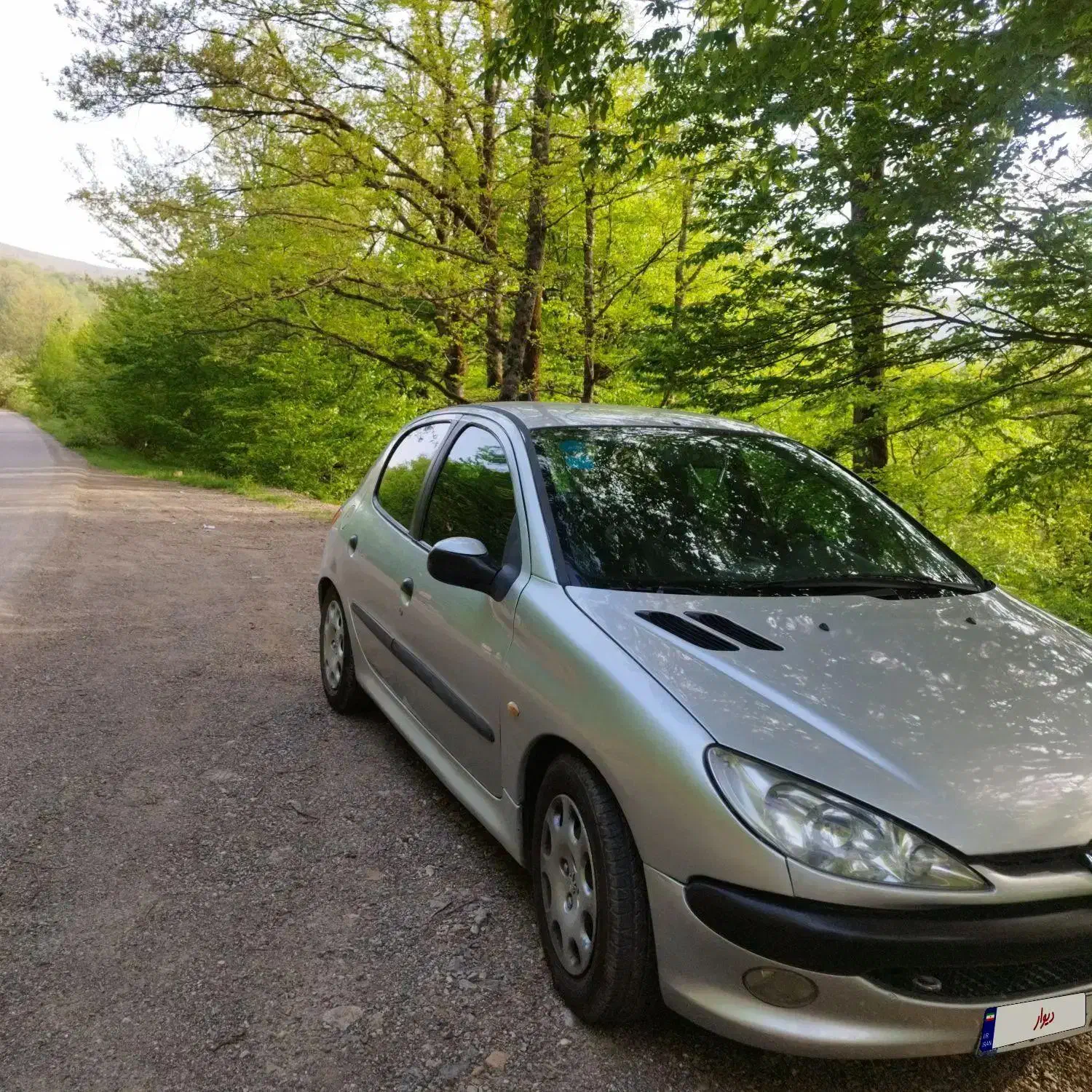 ماشین 206|خودرو سواری و وانت|تهران, جوادیه تهرانپارس|دیوار