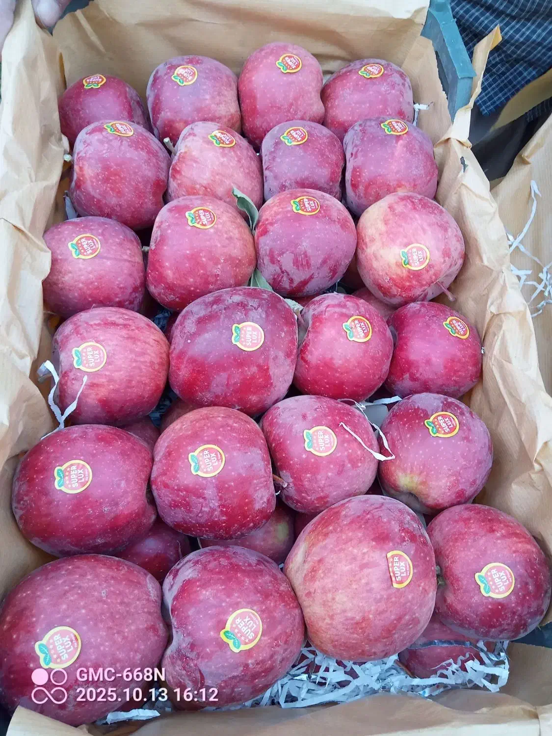 سیب|خوردنی و آشامیدنی|تهران, بوستان جنگلی لویزان|دیوار