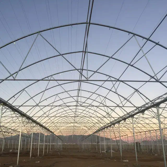 گلخانه ۸۰۰۰|عمده‌فروشی|ورامین, ورامین|دیوار