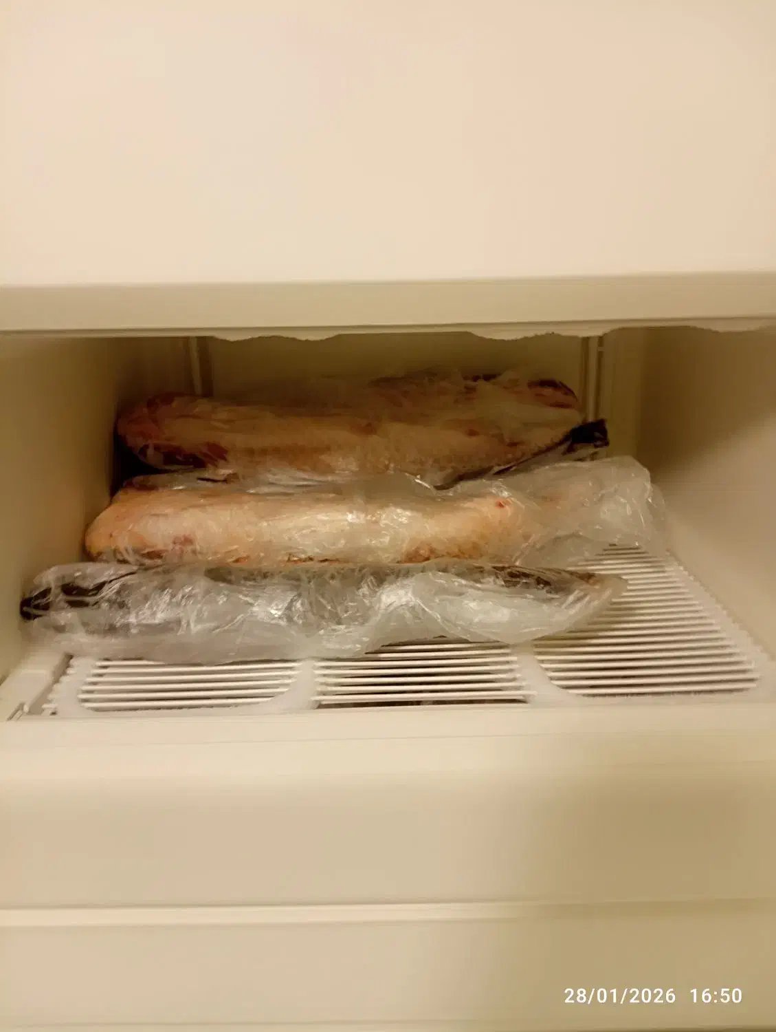 فریزر آ گ|یخچال و فریزر|بندر انزلی, ساحل قو|دیوار