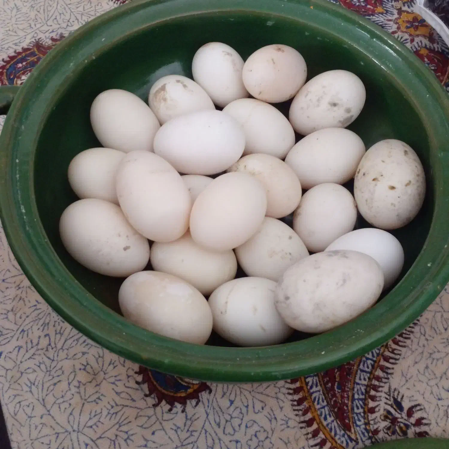 تخم اردک ۳۰عدد|خوردنی و آشامیدنی|گتوند, |دیوار