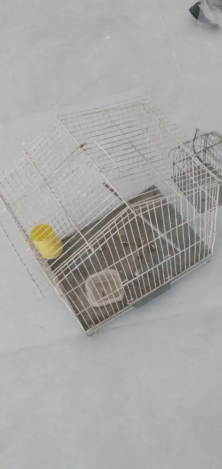 قفس پرنده وتله سره|لوازم جانبی حیوانات|پردیس, فاز ۳|دیوار