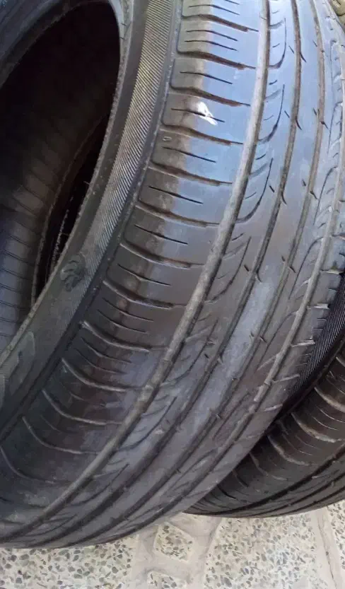 قناری|حراج|بروجرد, |دیوار