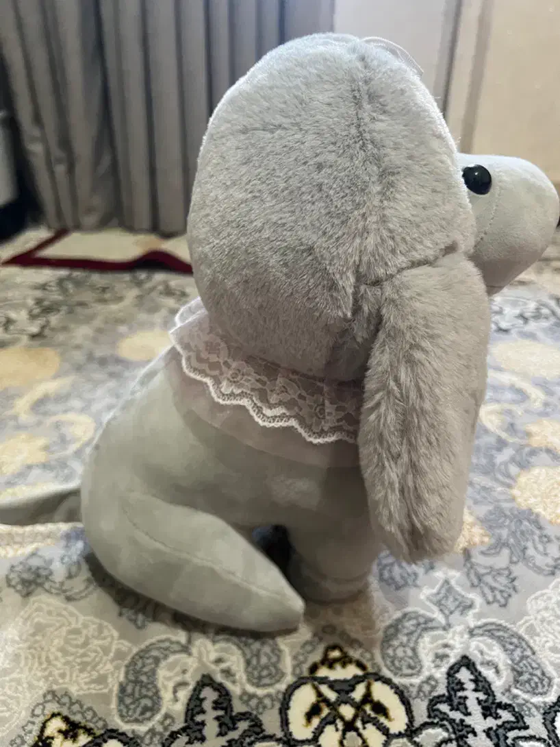 عروسک نو|اسباب‌‌بازی|قدس, شهر‌قدس|دیوار