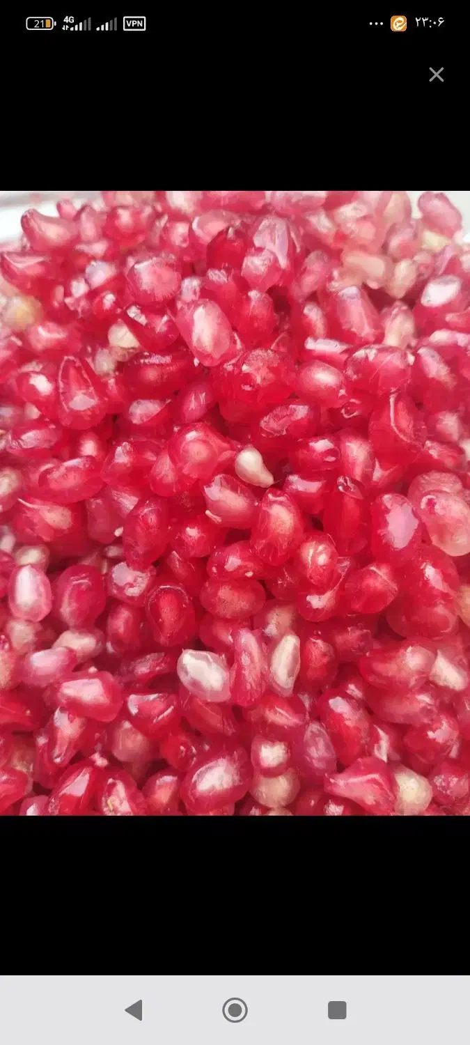 انار در منزل خودم دونه میکنم|خوردنی و آشامیدنی|حمیدیا, |دیوار