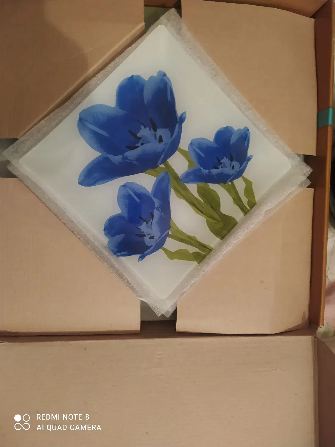 ظرف میوه خوری شیشه ای|ظروف سرو و پذیرایی|سمنان, |دیوار