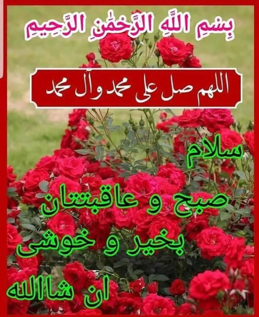 شناسنامه گمشده بنام امیرمهدی حیدری|اشیا|عنبرآباد, |دیوار