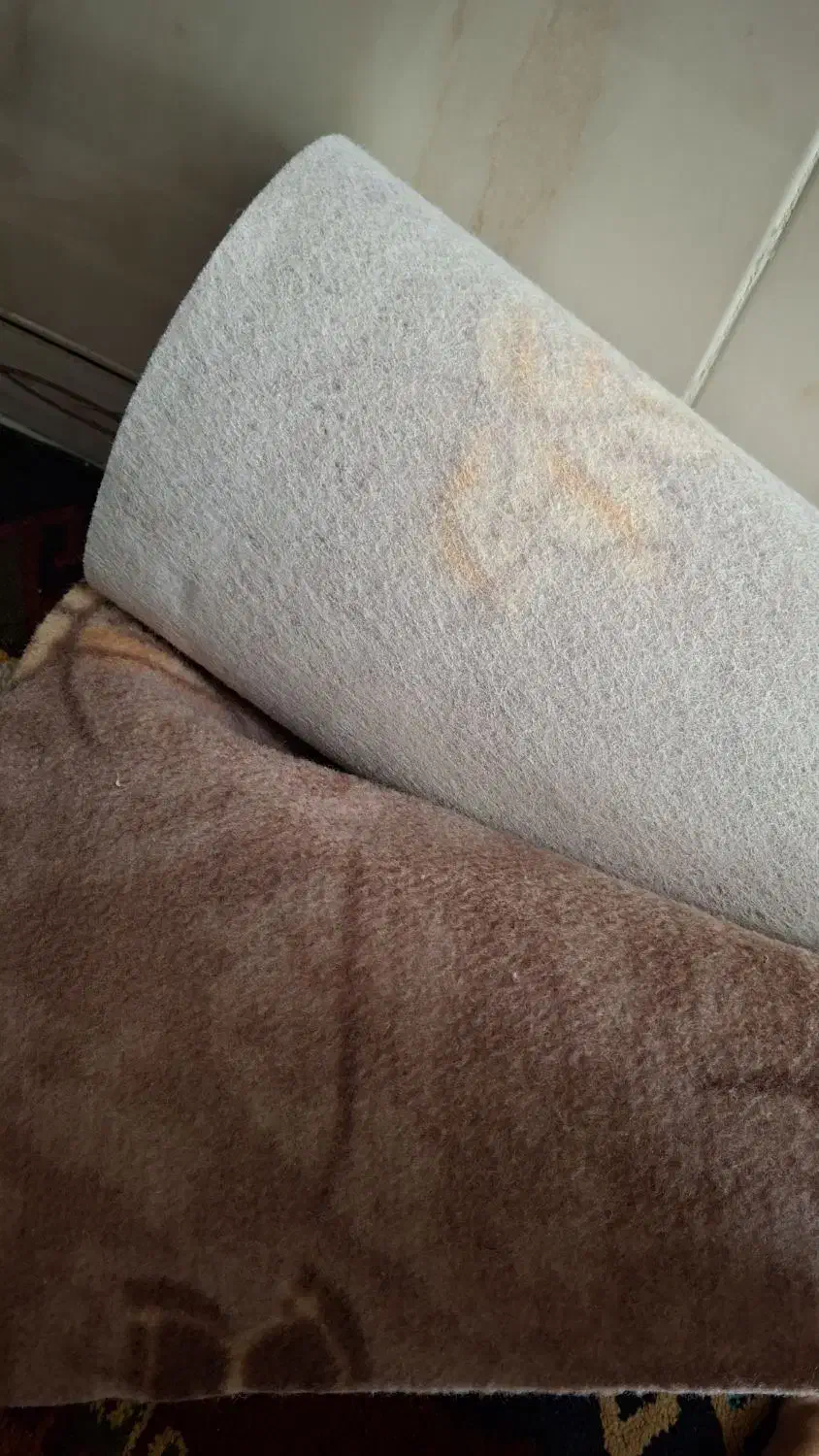 موکت|موکت|کرمانشاه, |دیوار