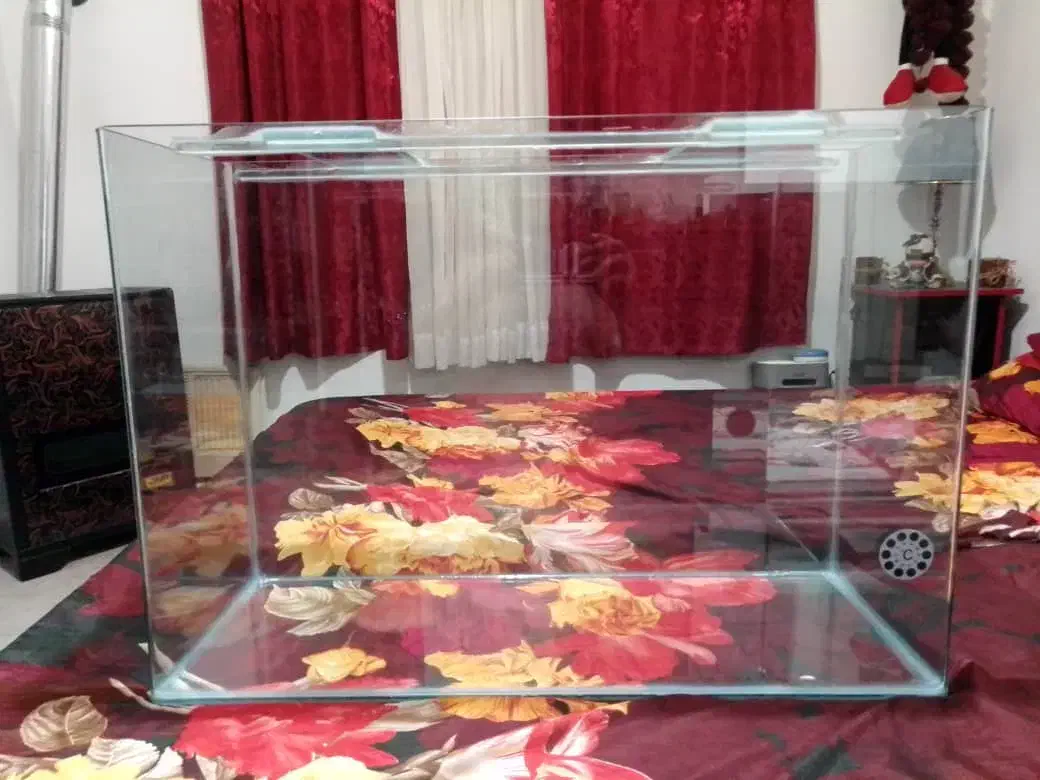 شیشه اکواریوم ۱۲۰ لبتری شیشه خم|ماهی|نوشهر, |دیوار