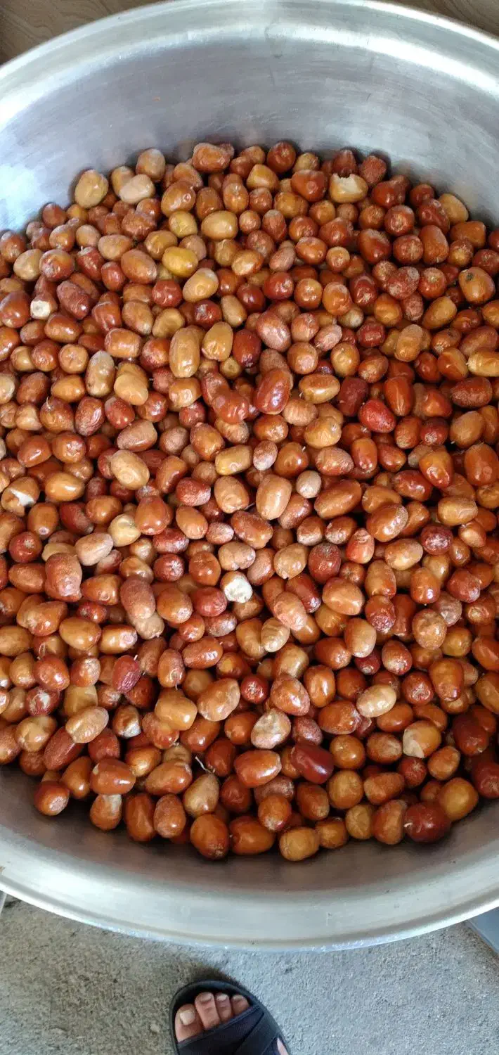 سنجد تازه شیرین|خوردنی و آشامیدنی|شاهین دژ, |دیوار