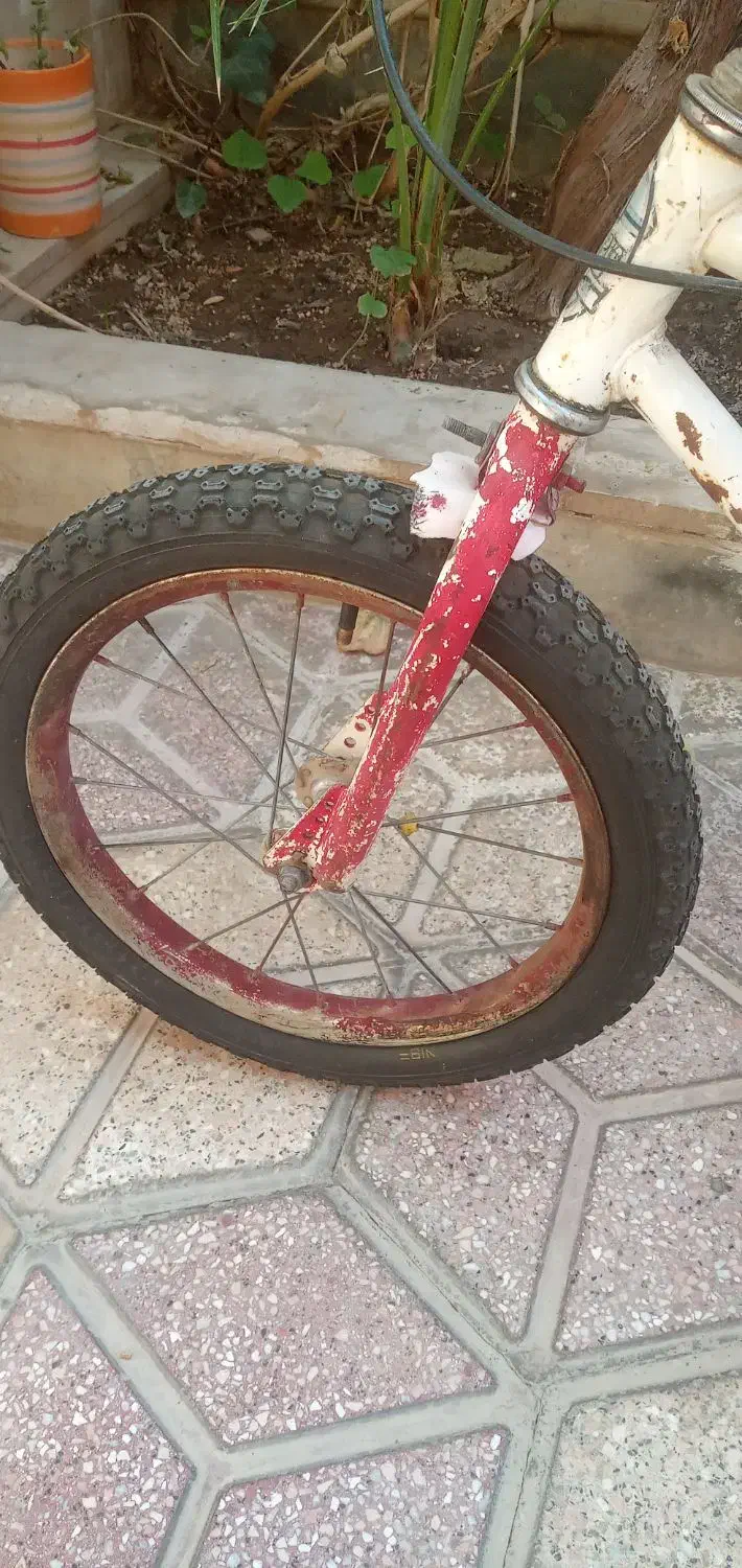 دوچرخه ۱۶|دوچرخه، اسکیت، اسکوتر|سده (خراسان جنوبی), |دیوار