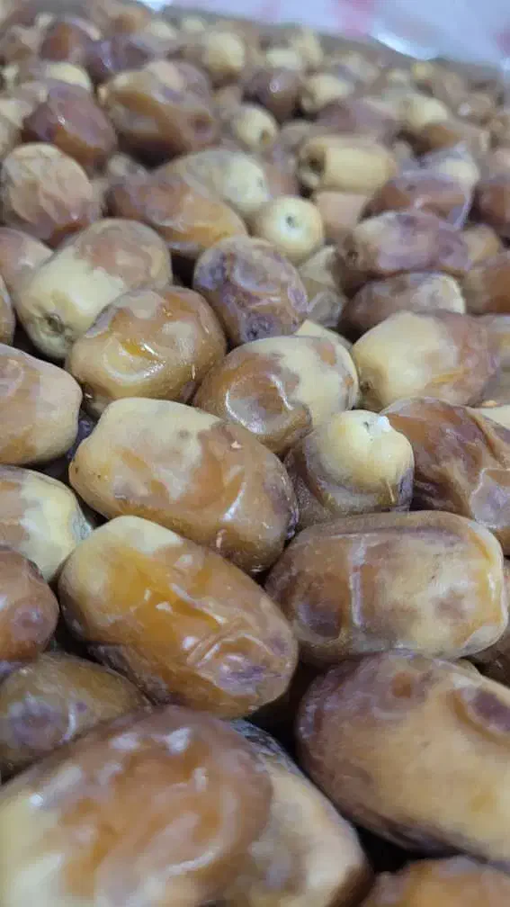 قسب زاهدی درجه یک|عمدهفروشی|ارم, |دیوار