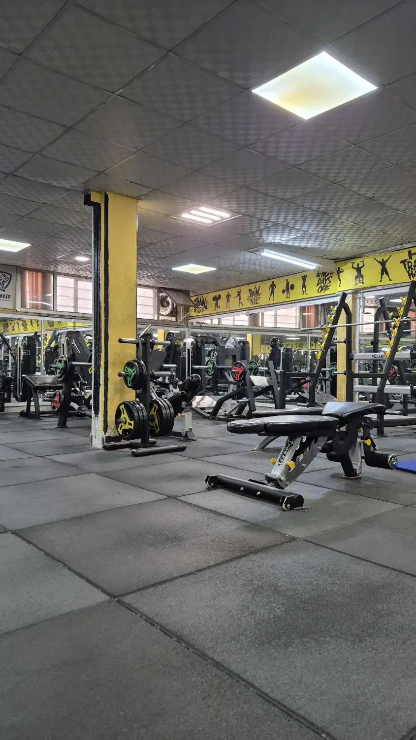 مربی بدنسازی بانوان|استخدام آموزشی|همدان, |دیوار