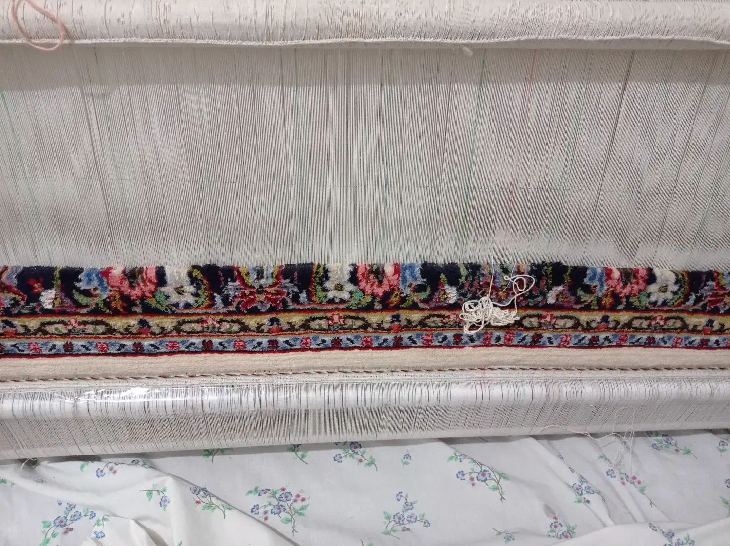 فرش بادارکول|فرش|ملایر, |دیوار