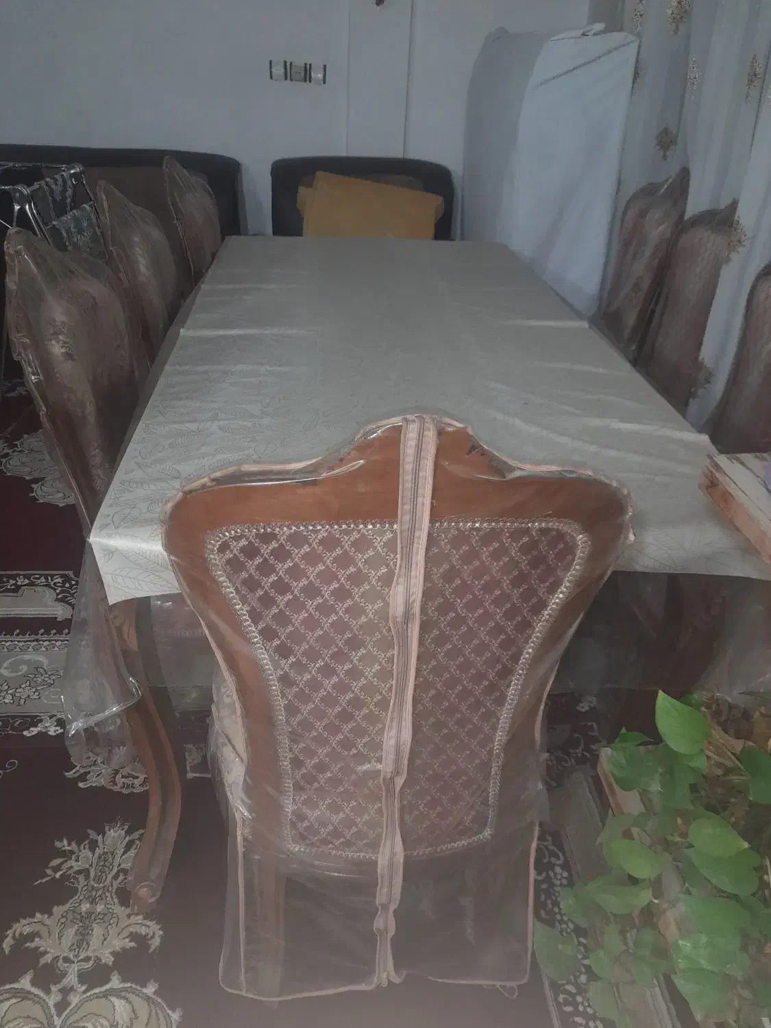 میز نهارخوری|میز و صندلی غذاخوری|شاندیز, |دیوار