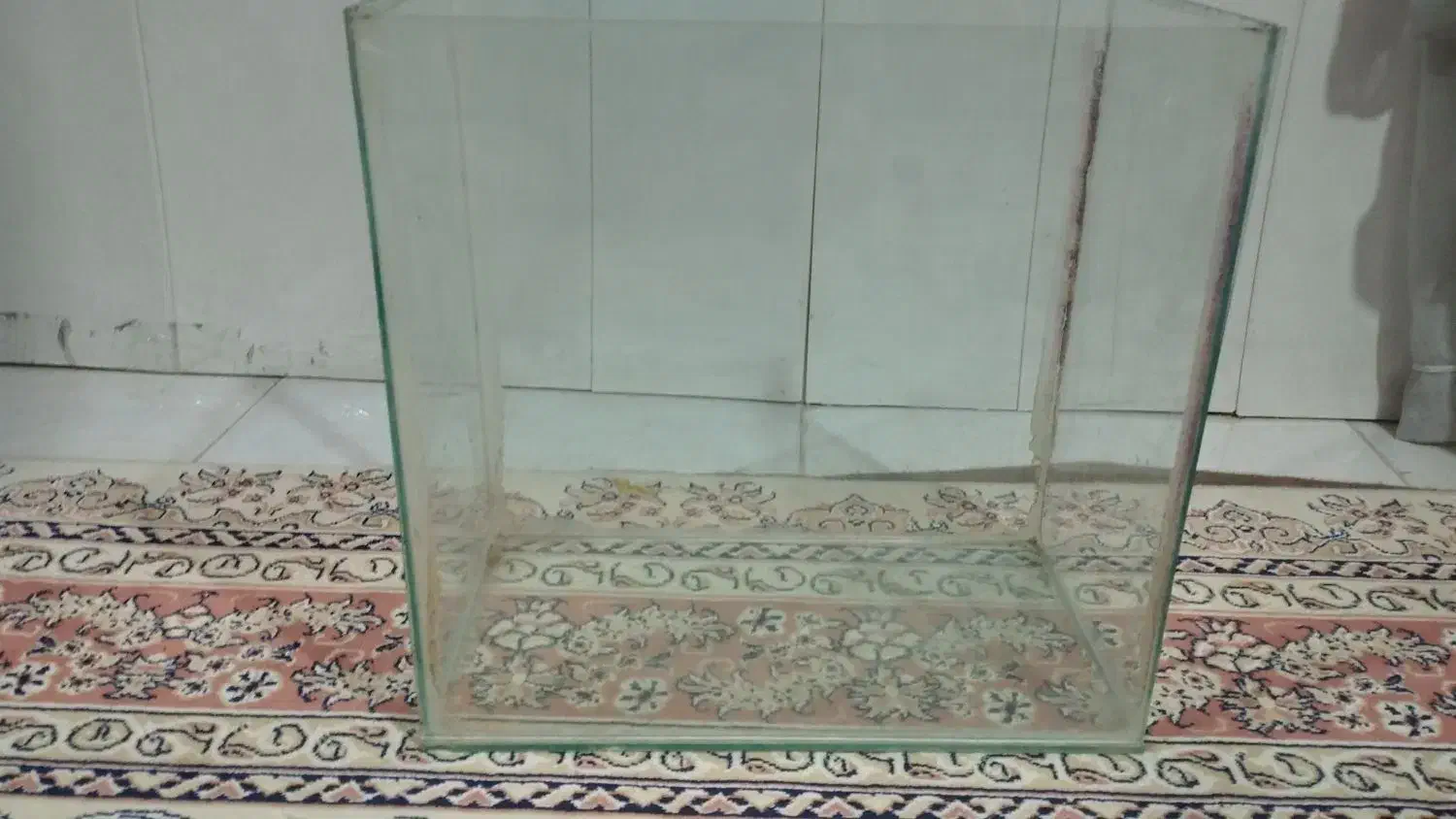 اکواریوم|ماهی|مشهد, کوه سنگی|دیوار