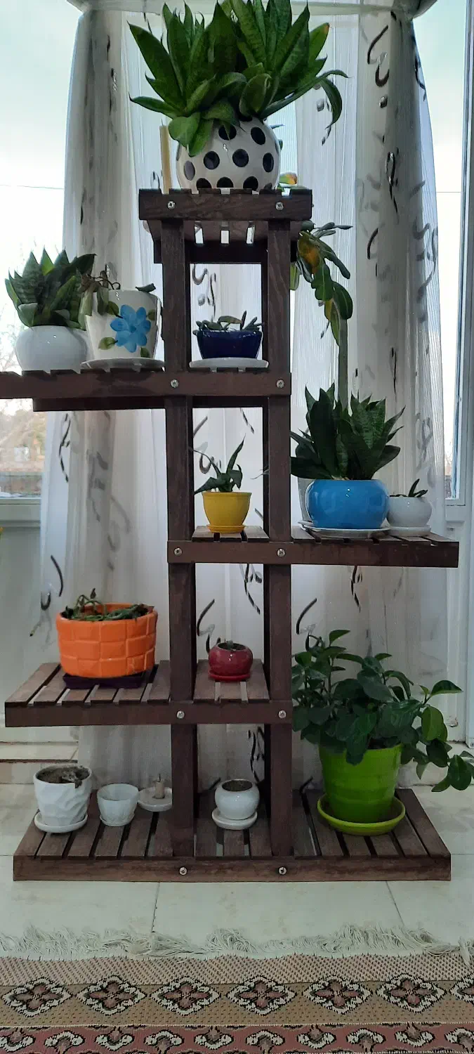 شلف چوبی|کتابخانه، شلف، قفسههای دیواری|ملایر, |دیوار