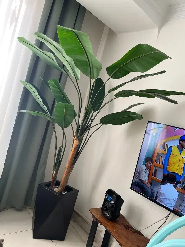 درختچه موز|گل مصنوعی|تهران, امیریه|دیوار
