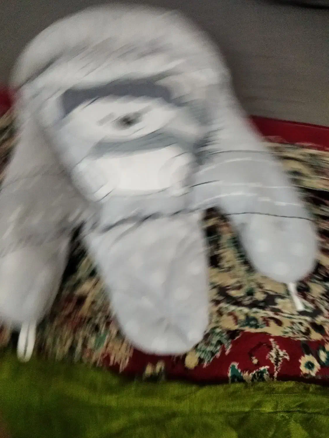 قنداق فرنگی وتوشک نوزاد نو نو|اسباب و اثاث بچه|زابل, |دیوار