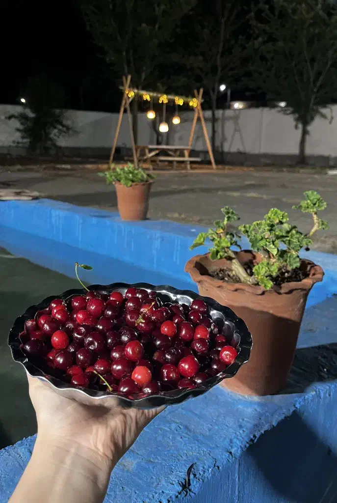 اقامتگاه بومگردی دامون ۴۰ دقیقه تا مرکز شهر|اجارهٔ کوتاه‌مدت آپارتمان و سوئیت|رشت, قاسمیه|دیوار